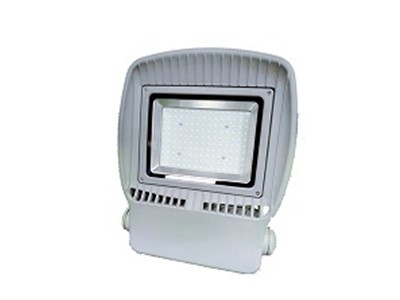 50W LED Flood Light (G series)