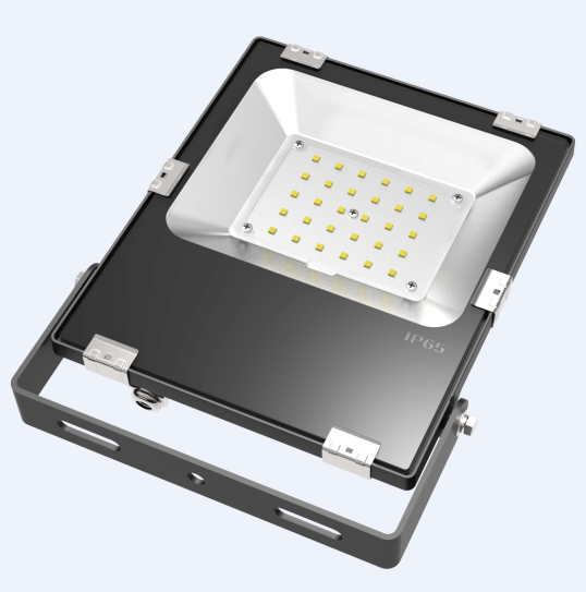 30W LED Flood Light (C series)